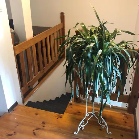 Semesterbostad Parkowa Koszalin