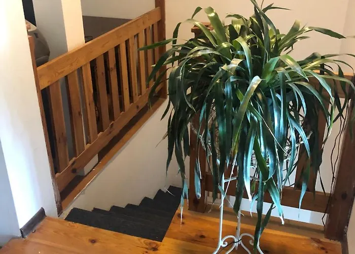 Hébergement de vacances Parkowa Koszalin